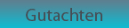 gutachten